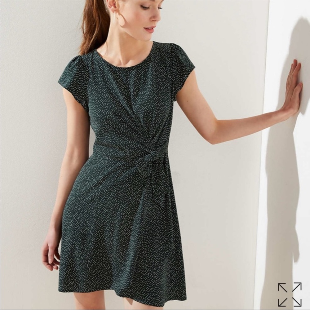 Loft green polka dot dress